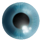 eyeball link: click to return